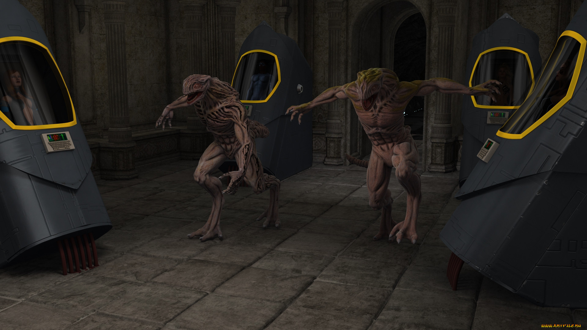 3 ,  , creatures, 